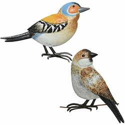 Foto van Decoratie vogels/muurvogels vink en mus voor in de tuin 38 cm - tuinbeelden