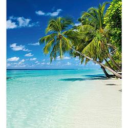 Foto van Dimex paradise beach vlies fotobehang 225x250cm 3-banen