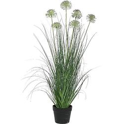 Foto van Groene/paarse allium/sierui kunstplant 90 cm in zwarte pot - kunstplanten