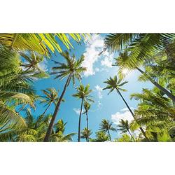 Foto van Komar coconut heaven vlies fotobehang 450x280cm 9-banen