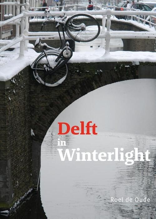 Foto van Delft in winterlight - roel de oude - hardcover (9789462264953)