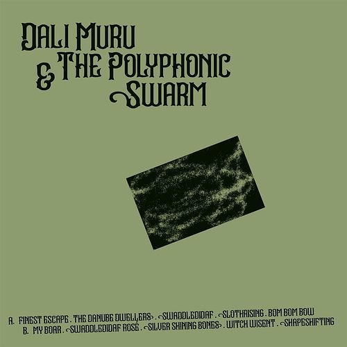 Foto van Dali muru & the polyphonic swarm - lp (3481575520853)