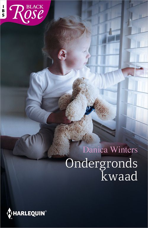 Foto van Ondergronds kwaad - danica winters - ebook