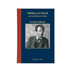 Foto van Mahler en freud - miniaturen reeks
