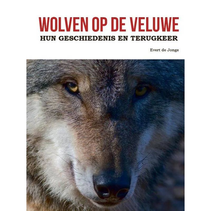 Foto van Wolven op de veluwe