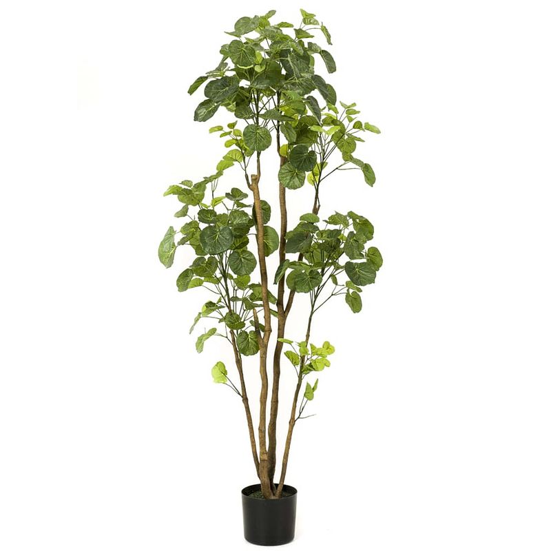 Foto van Emerald kunstboom in pot aralia 160 cm