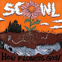 Foto van How flowers grow - cd (0603111747927)