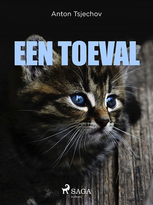 Foto van Een toeval - anton tsjechov - ebook