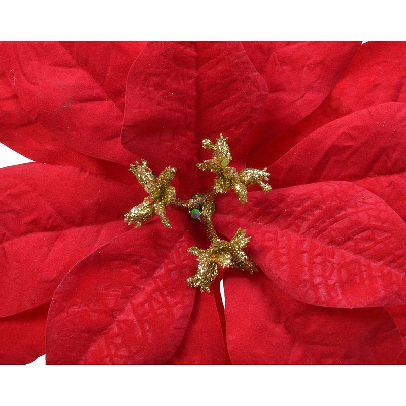 Foto van Everlands - poinsettia plastic d16h3 cm rood kerst