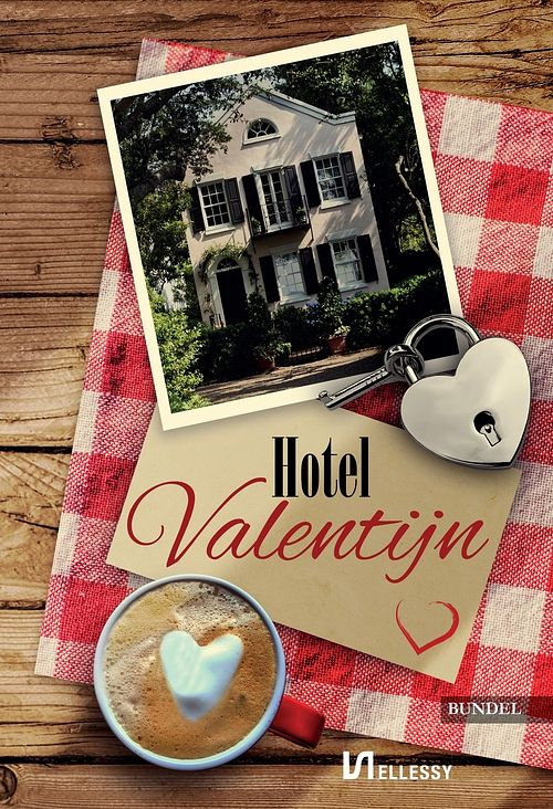 Foto van Hotel valentijn - eveline van dienst, janneke spijkerboer, monica betist, marianne sinke - ebook