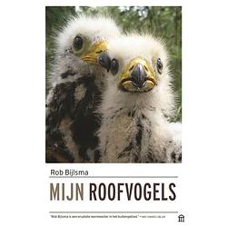 Foto van Mijn roofvogels