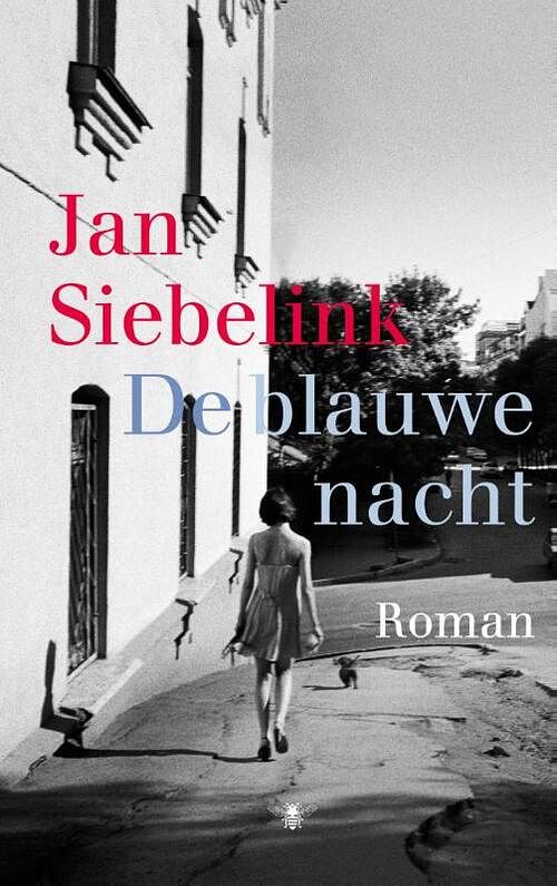 Foto van De blauwe nacht - jan siebelink - ebook (9789023485810)