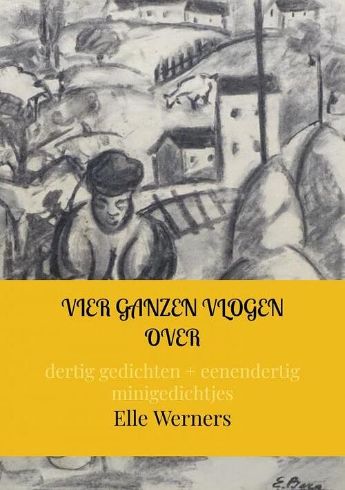 Foto van Vier ganzen vlogen over - elle werners - paperback (9789464857450)