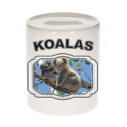 Foto van Dieren koala beer spaarpot - koalas/ koalaberen spaarpotten kinderen 9 cm - spaarpotten