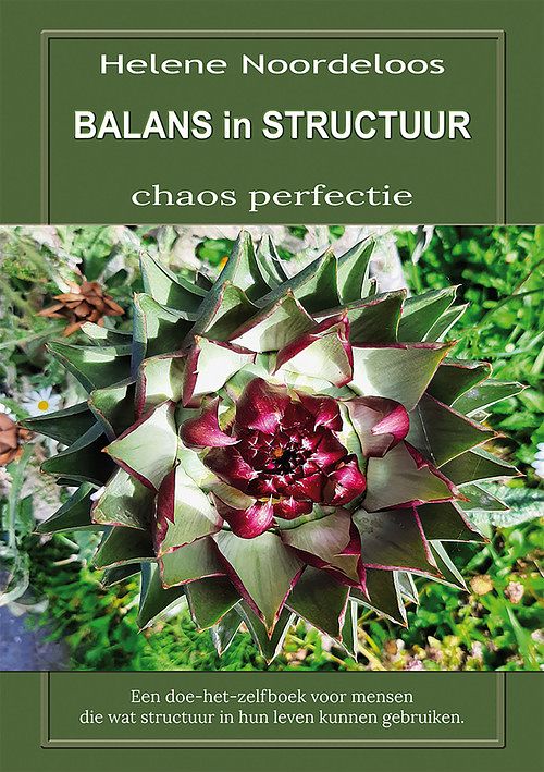 Foto van Balans in structuur - helene noordeloos - ebook (9789462666290)
