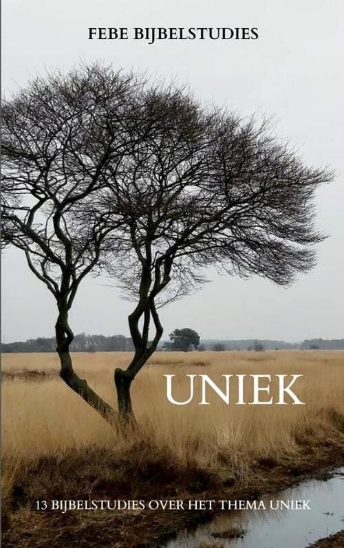 Foto van Uniek - febe bijbelstudies - paperback (9789464481297)