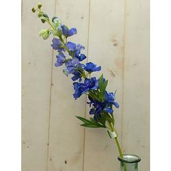 Foto van Warentuin mix - kunstridderspoor delphinium groot op steker blauw