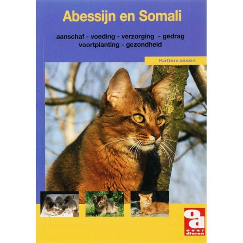 Foto van Abessijn en somali - over dieren