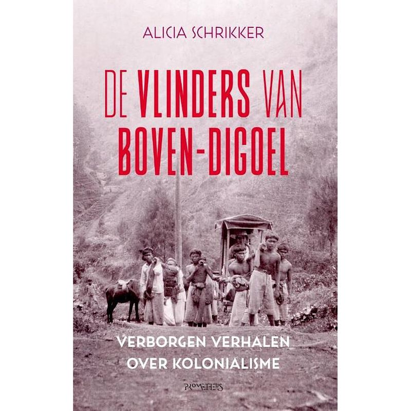 Foto van De vlinders van boven-digoel