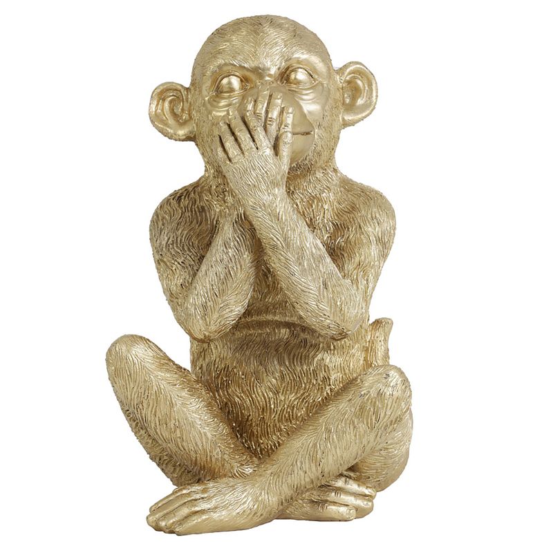 Foto van Light&living ornament 16,5x16,5x26 cm monkey goud