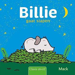 Foto van Billie gaat slapen - mack van gageldonk - kartonboekje;kartonboekje (9789044852783)