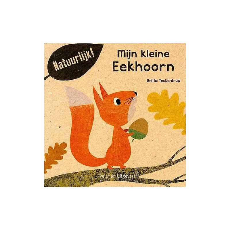 Foto van Mijn kleine eekhoorn