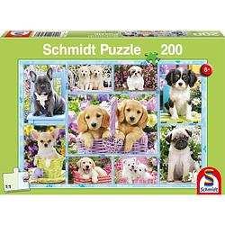 Foto van Puppies puzzel - 200 stukjes
