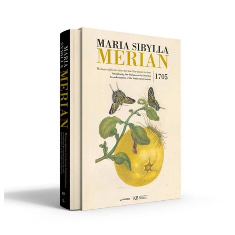 Foto van Maria sibylla merian. metamorphosis insectorum