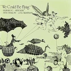 Foto van We could be flying - lp (7041880101312)