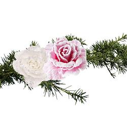 Foto van Cosy & trendy kerst bloemen op clip - 2x st - roze en wit - 10 cm - kersthangers