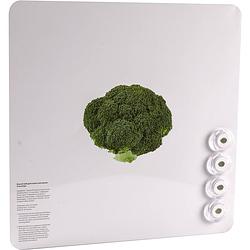 Foto van Magneetbord dresz - broccoli - ophangmagneet dresz