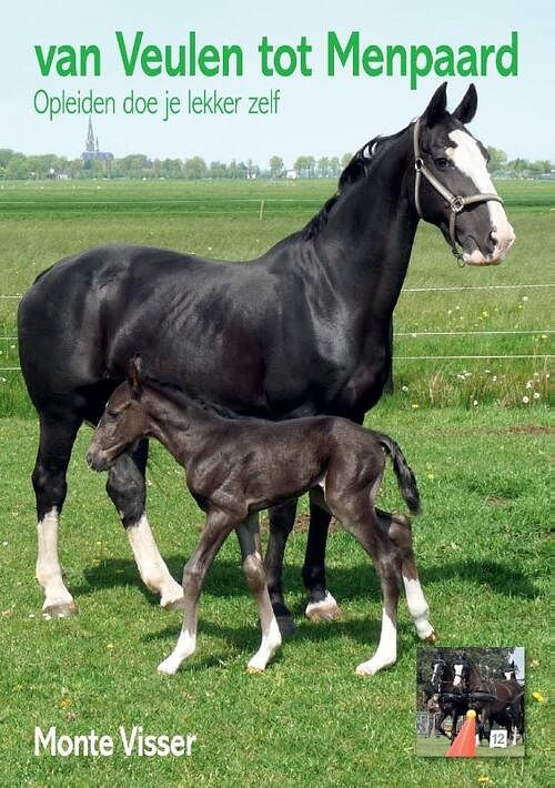 Foto van Van veulen tot menpaard - monte visser - paperback (9789464437904)