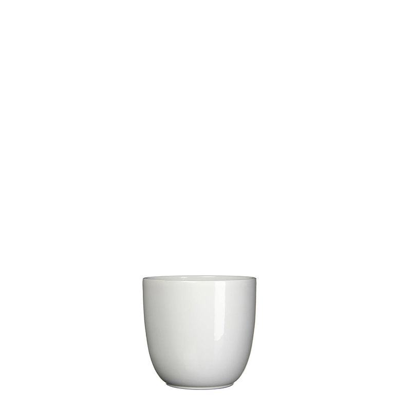 Foto van 5 stuks bloempot pot rond es/7 tusca 7.5 x 8.5 cm wit mica