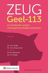 Foto van Zeug geel-113 - paperback (9789013152975)