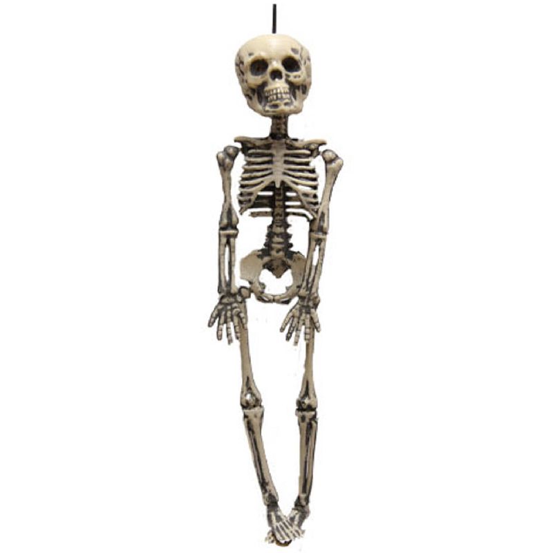 Foto van Horror/halloween skelet/geraamte - hangend - 30 cm - hangdecoratie - halloween poppen