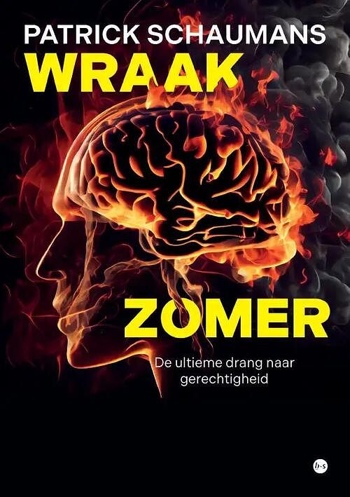 Foto van Wraakzomer - patrick schaumans - paperback (9789464688382)