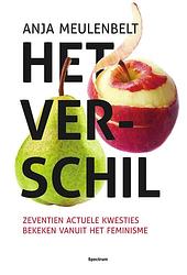 Foto van Het verschil - anja meulenbelt - ebook (9789000350193)