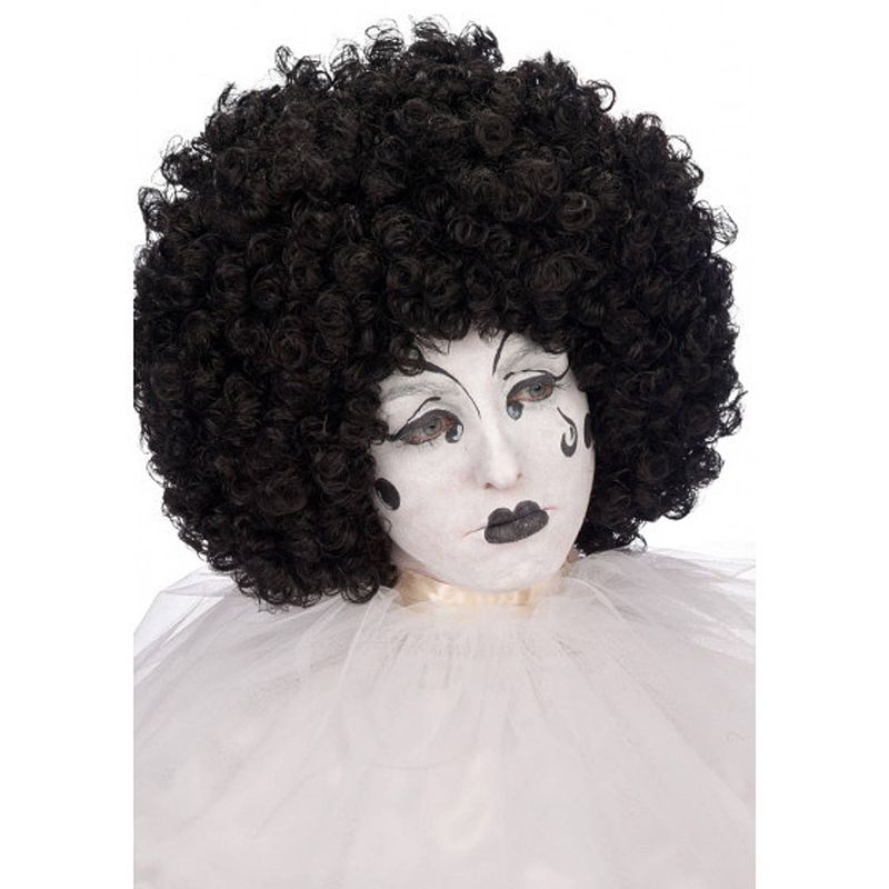 Foto van Carnival toys pruik afro polyester zwart one-size