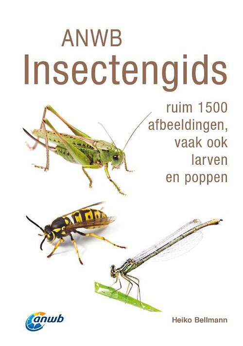 Foto van Anwb insectengids - heiko bellmann - paperback (9789043928786)