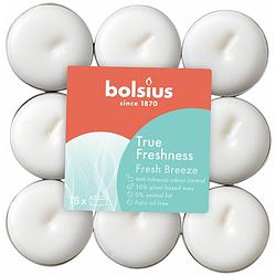 Foto van Bolsius geurtheelichten true freshness fresh breeze 18 stuks