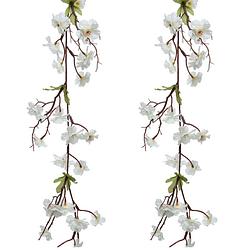 Foto van 2x stuks kunstbloem/bloesem takken slingers - wit - 187 cm - kunstplanten