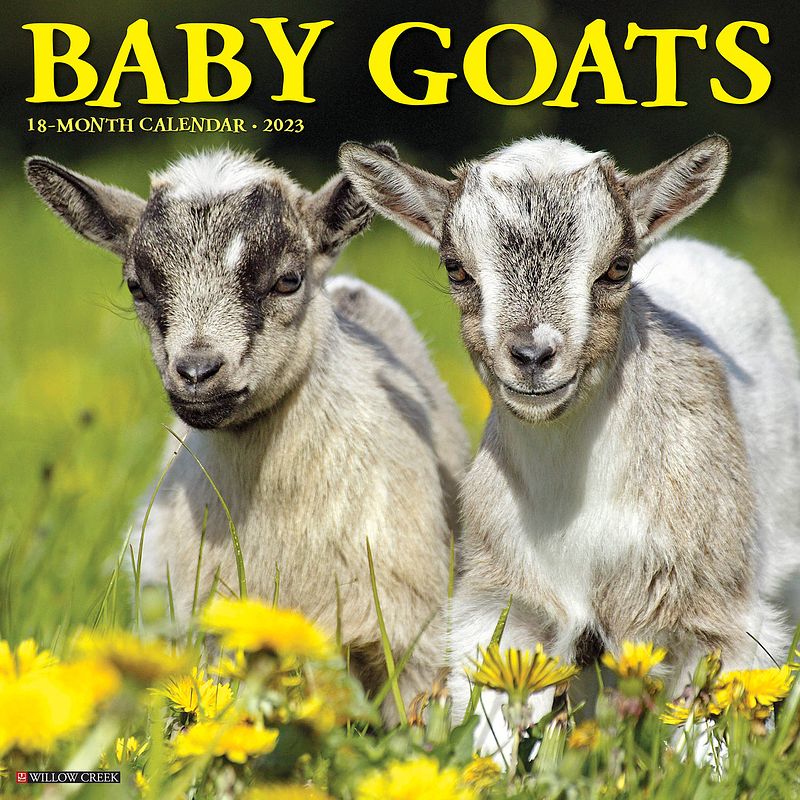 Foto van Baby goats kalender 2023