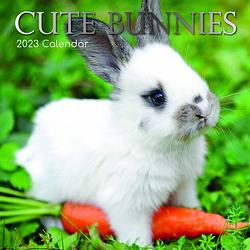 Foto van Cute bunnies kalender 2023