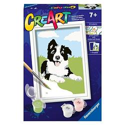 Foto van Ravensburger creart schilderen op nummer border collie