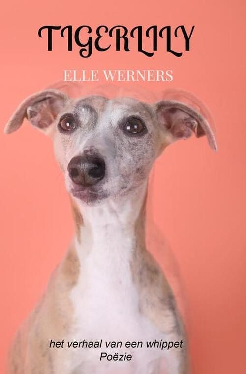 Foto van Tigerlily - elle werners - paperback (9789403709628)