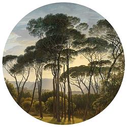 Foto van Wallart behangcirkel umbrella pines in italy 190 cm