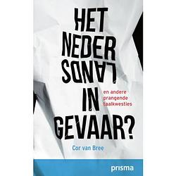 Foto van Het nederlands in gevaar?