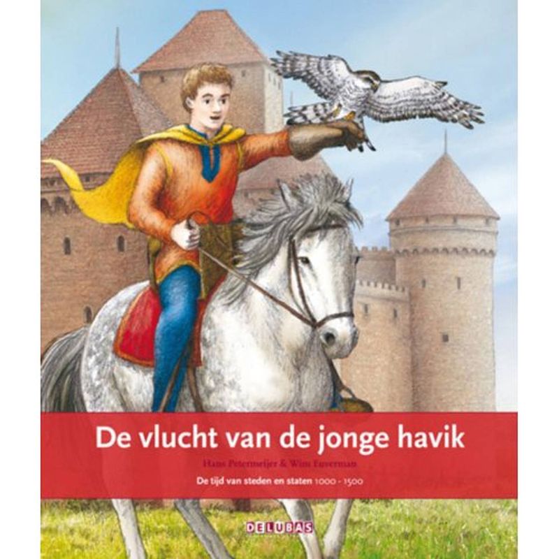 Foto van De vlucht van de jonge havik - terugblikken