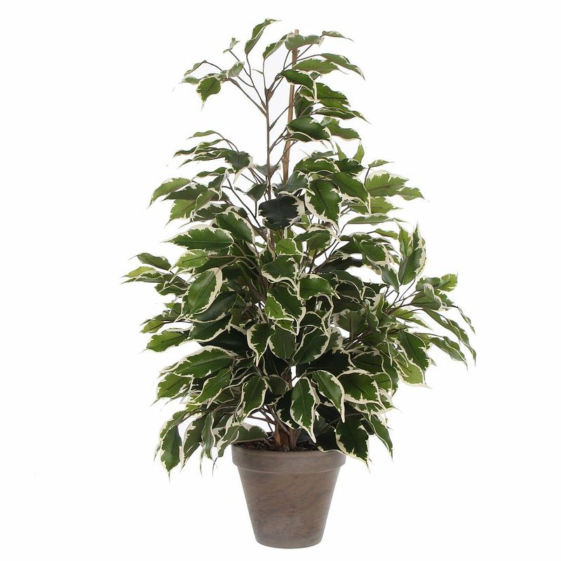 Foto van Groen/witte tropische ficus kunstplant 65 cm voor binnen - kunstplanten/nepplanten/binnenplanten.