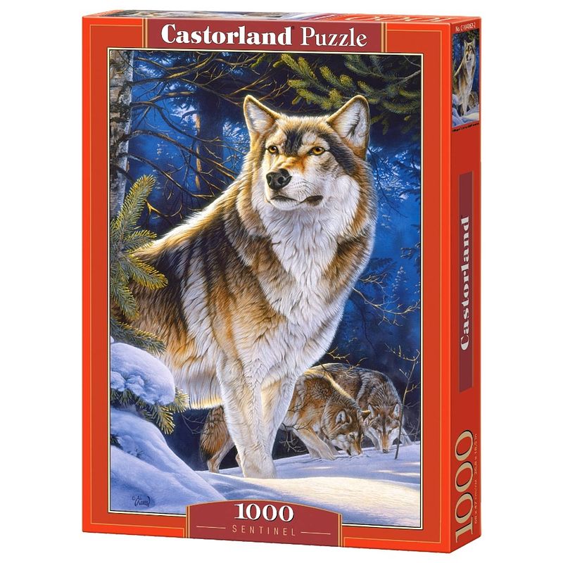 Foto van Castorland legpuzzel sentinel 1000 stukjes